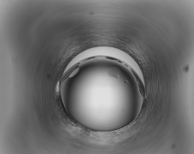 X0000096170041200801251202