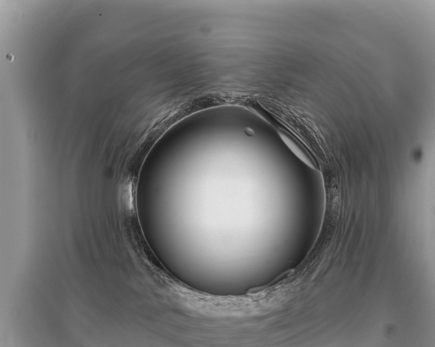 X0000096170042200801251202