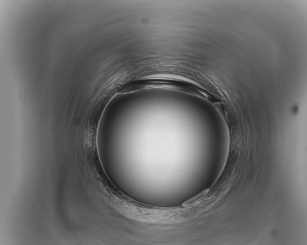 X0000096170044200801251202