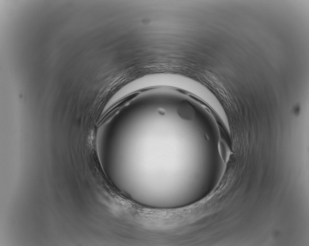 X0000096170045200801251202