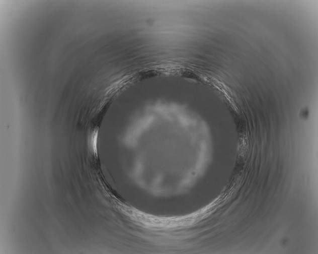 X0000096170047200801251202