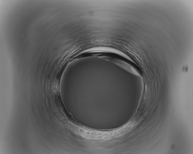 X0000096170048200801251202