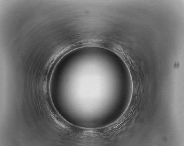 X0000096170050200801251201