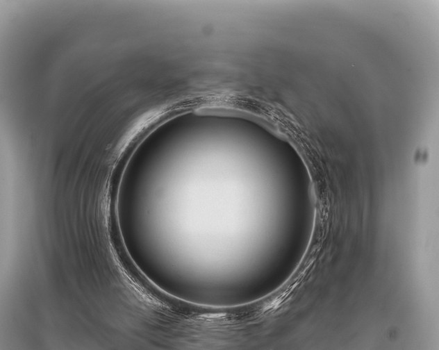 X0000096170054200801251201