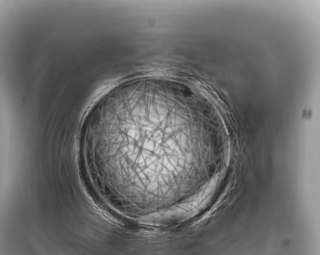 X0000096170055200801251201