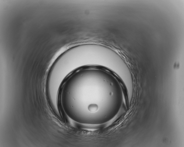 X0000096170056200801251201