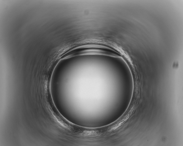 X0000096170057200801251201