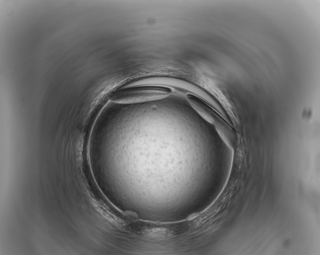 X0000096170058200801251201