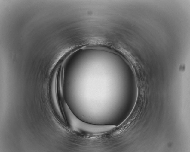 X0000096170060200801251201