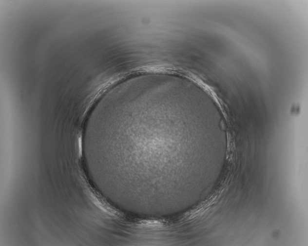 X0000096170061200801251201