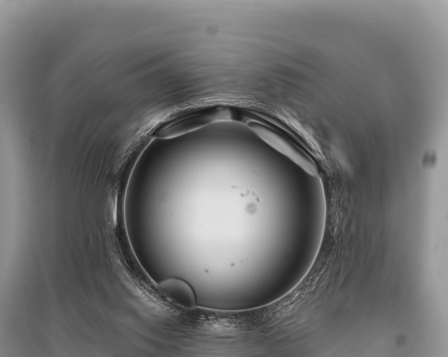 X0000096170062200801251201