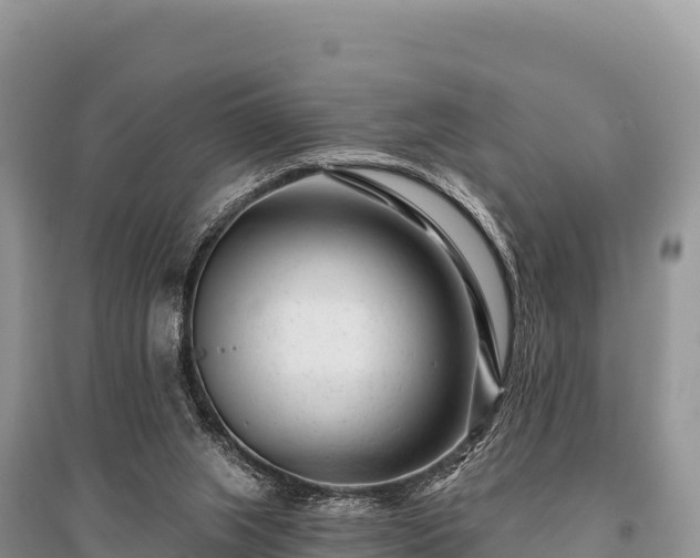 X0000096170063200801251201