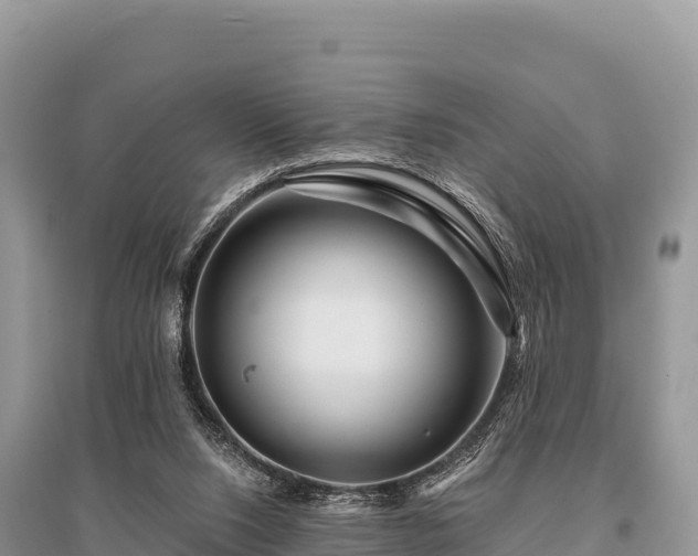 X0000096170064200801251201