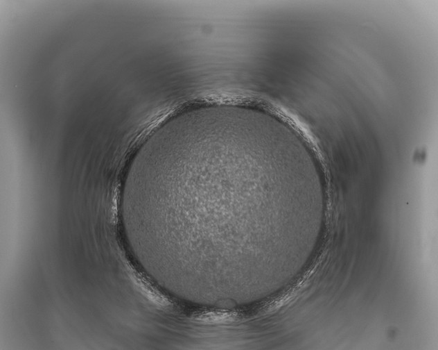 X0000096170065200801251201