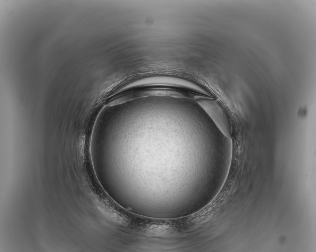 X0000096170066200801251201