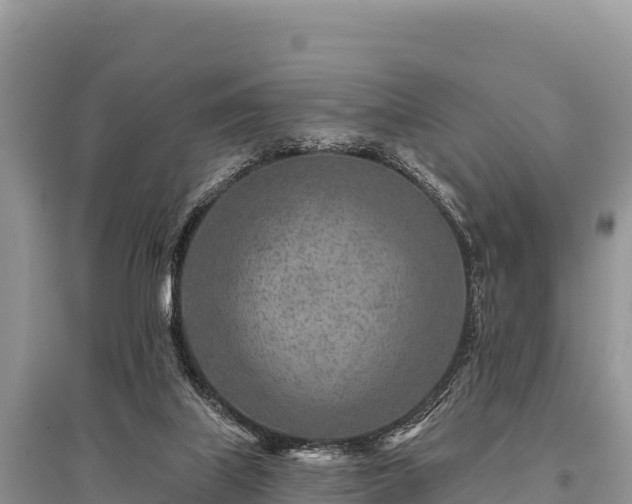 X0000096170067200801251201