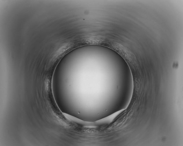 X0000096170071200801251201