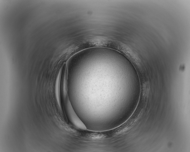 X0000096170073200801251201