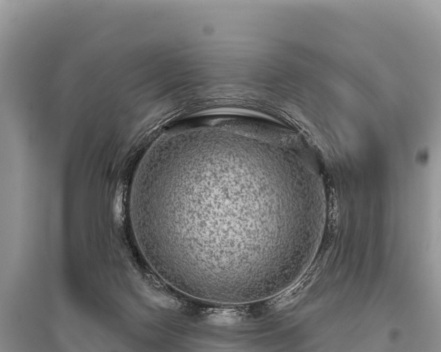 X0000096170074200801251201