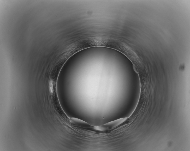 X0000096170075200801251201