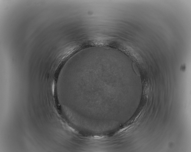 X0000096170076200801251201