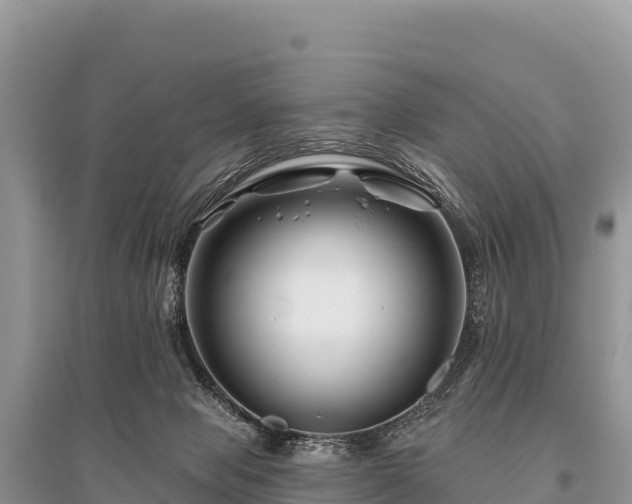 X0000096170077200801251201