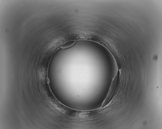 X0000096170078200801251201