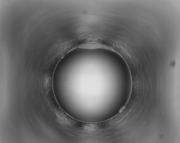 X0000096170079200801251202