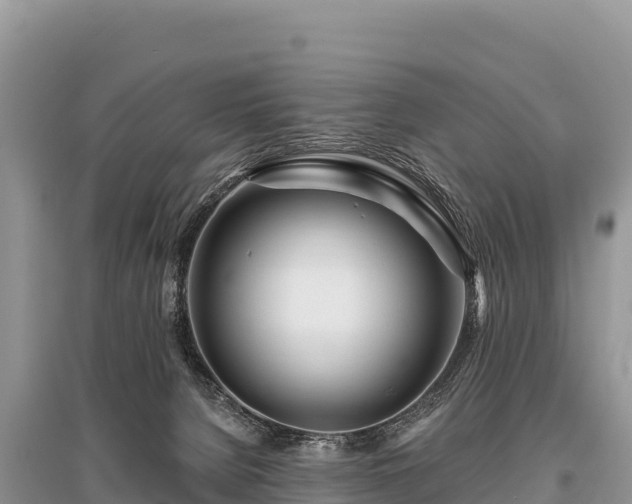 X0000096170080200801251202