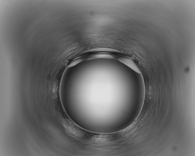 X0000096170082200801251202