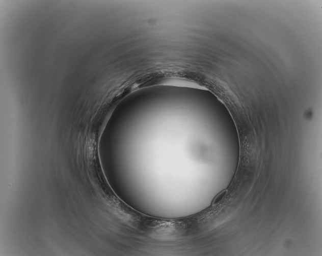 X0000096170083200801251202