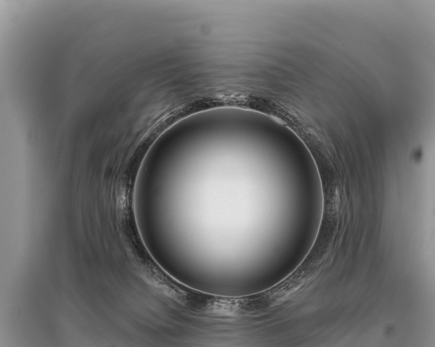 X0000096170084200801251202