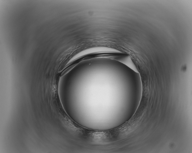 X0000096170085200801251202