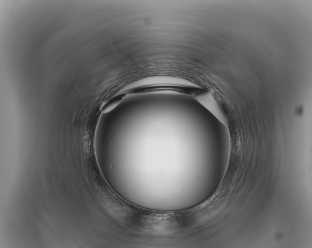 X0000096170086200801251202