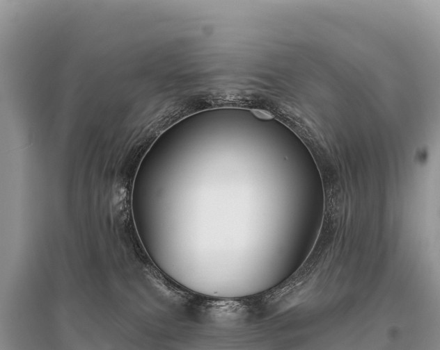 X0000096170087200801251202