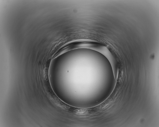 X0000096170088200801251202