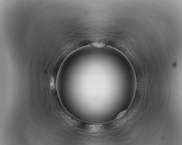 X0000096170089200801251202