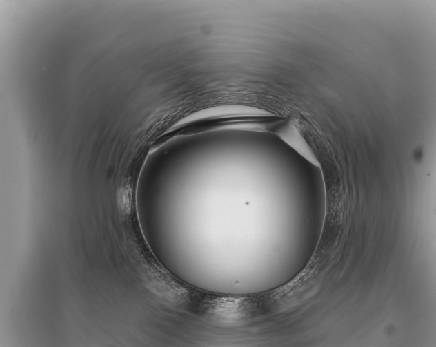 X0000096170090200801251202