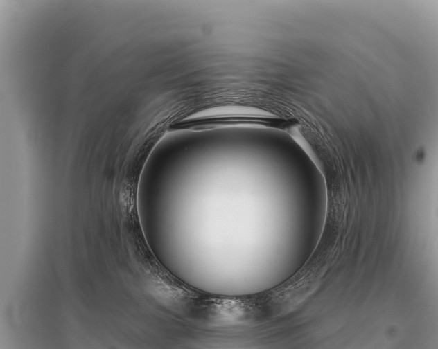 X0000096170091200801251202