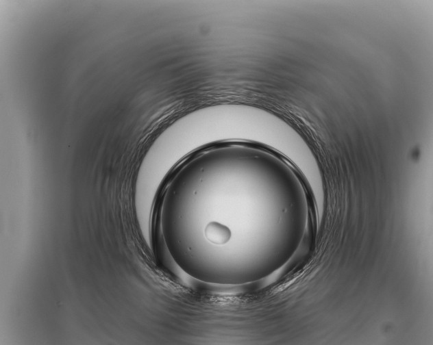 X0000096170092200801251202