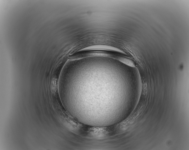 X0000096170093200801251202