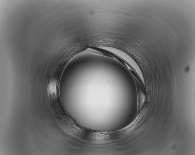 X0000096170094200801251202