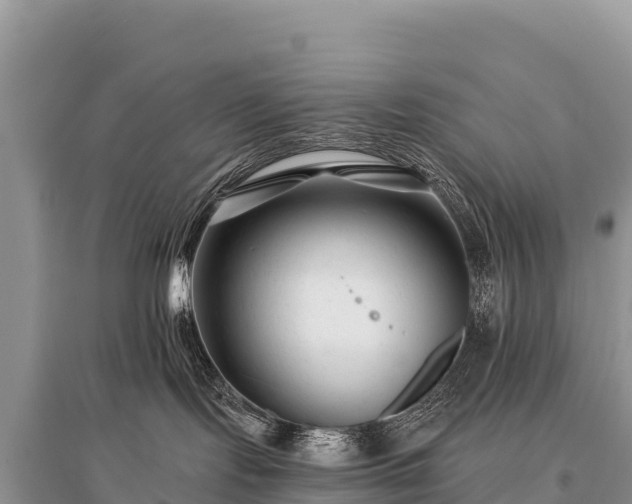 X0000096170095200801251202