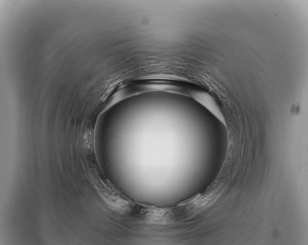 X0000096170096200801251202