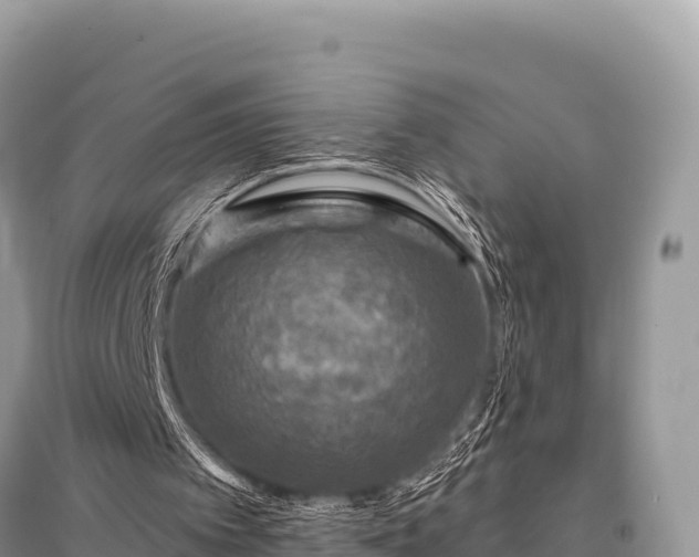 X0000096170097200801251201