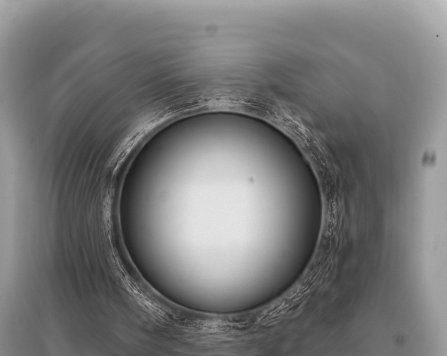 X0000096170098200801251201