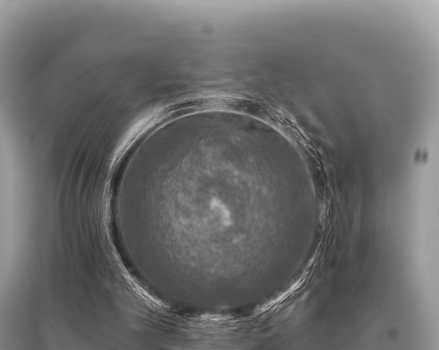 X0000096170101200801251201