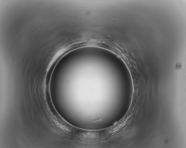 X0000096170102200801251201