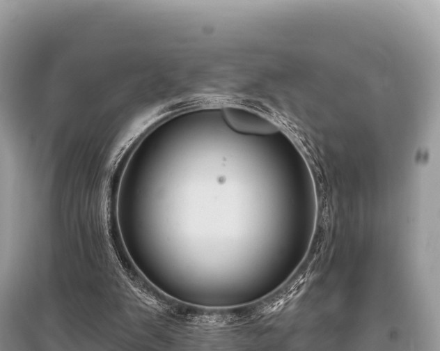 X0000096170103200801251201