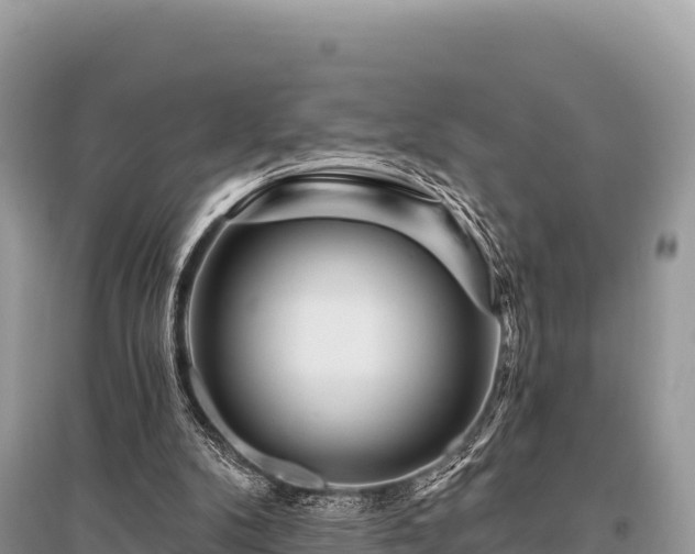 X0000096170104200801251201